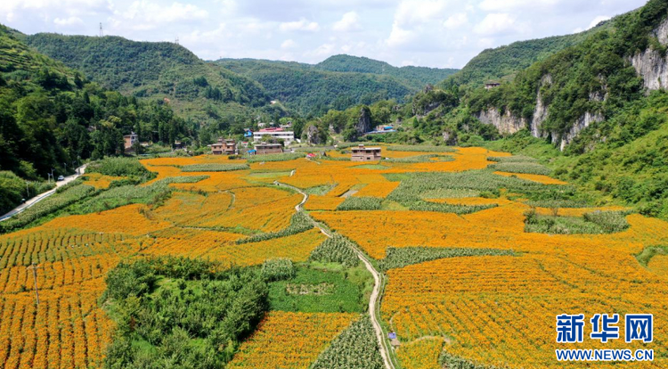 瞰毕节：从试验区到示范区 感受乌蒙山乡发展律动