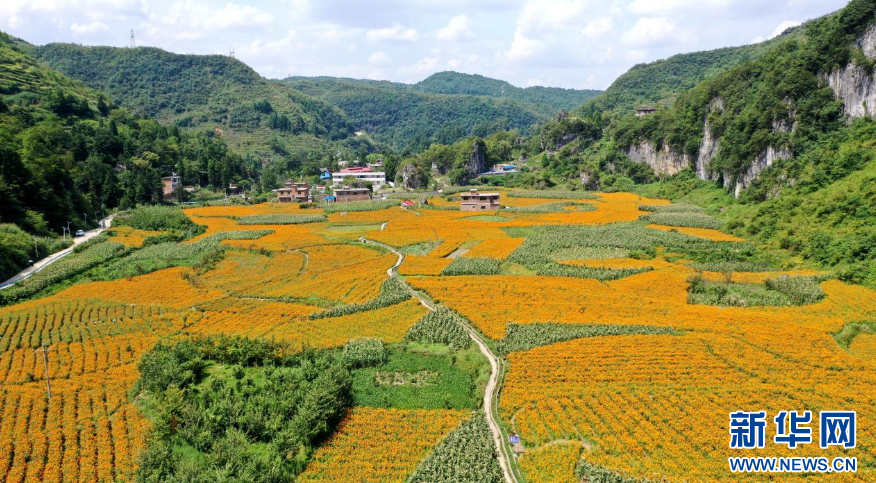 瞰毕节：从试验区到示范区 感受乌蒙山乡发展律动