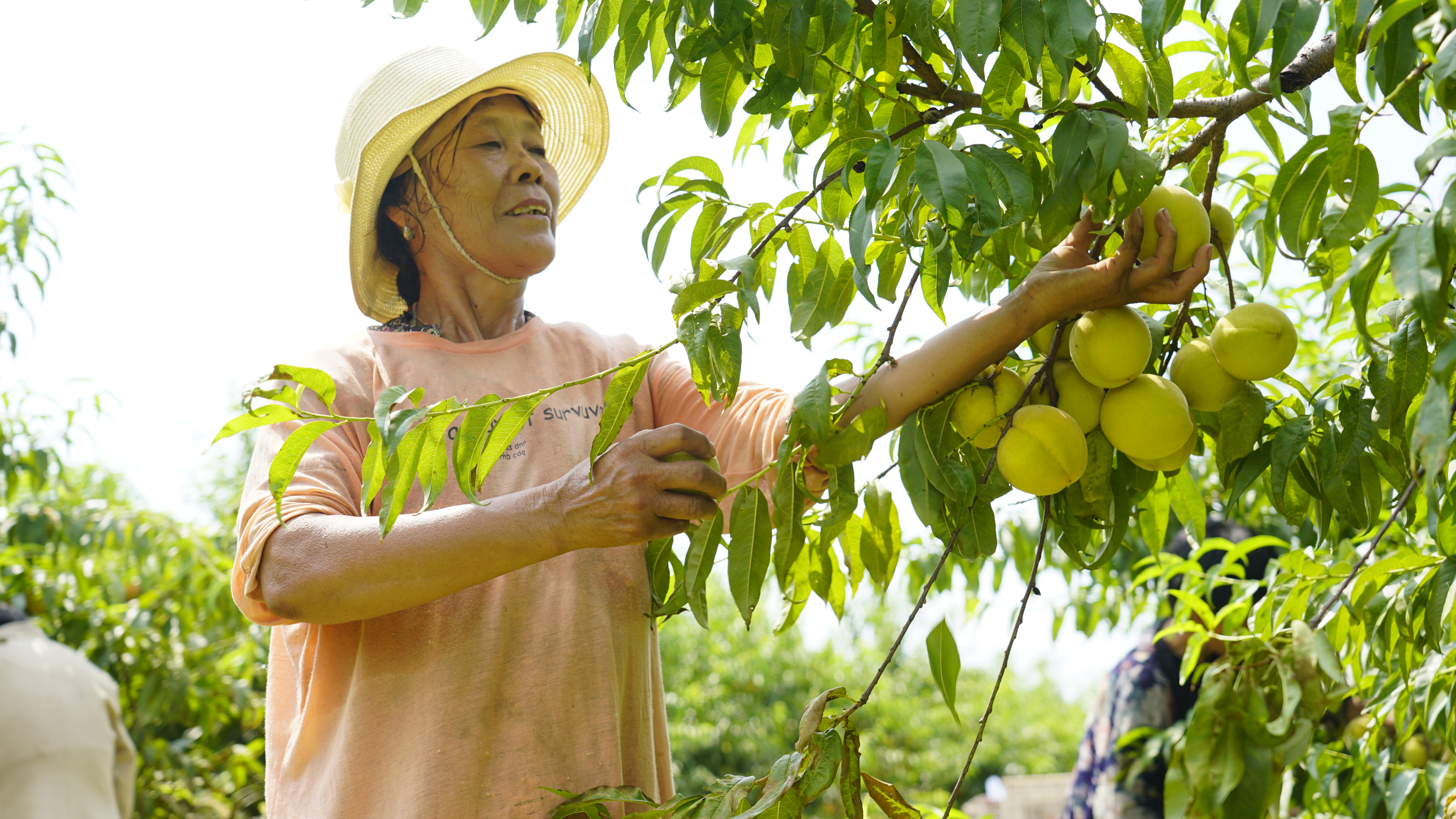 河北：加快灾后恢复重建_fororder_3