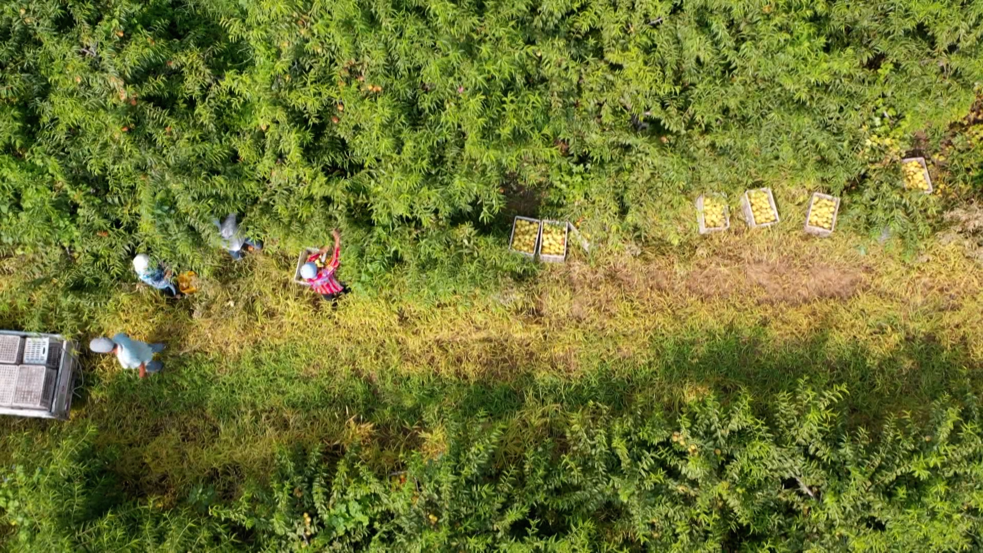 河北：加快灾后恢复重建_fororder_4