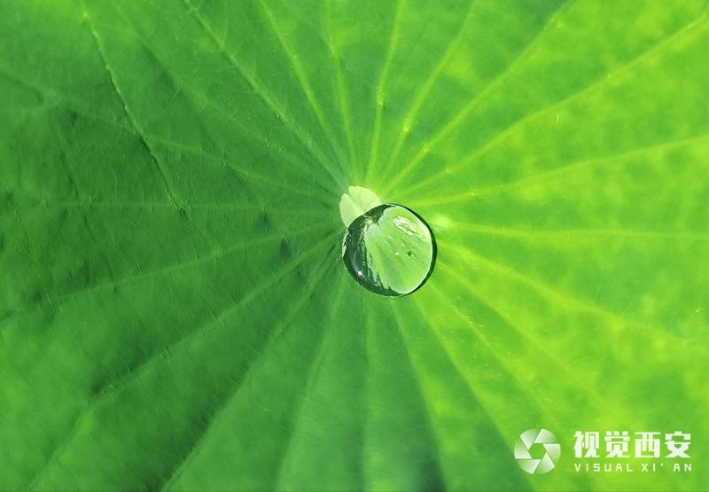 雨后风景美如画