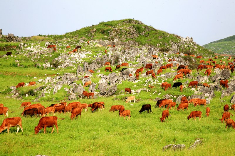 贵州有多美？绿水青山回答你