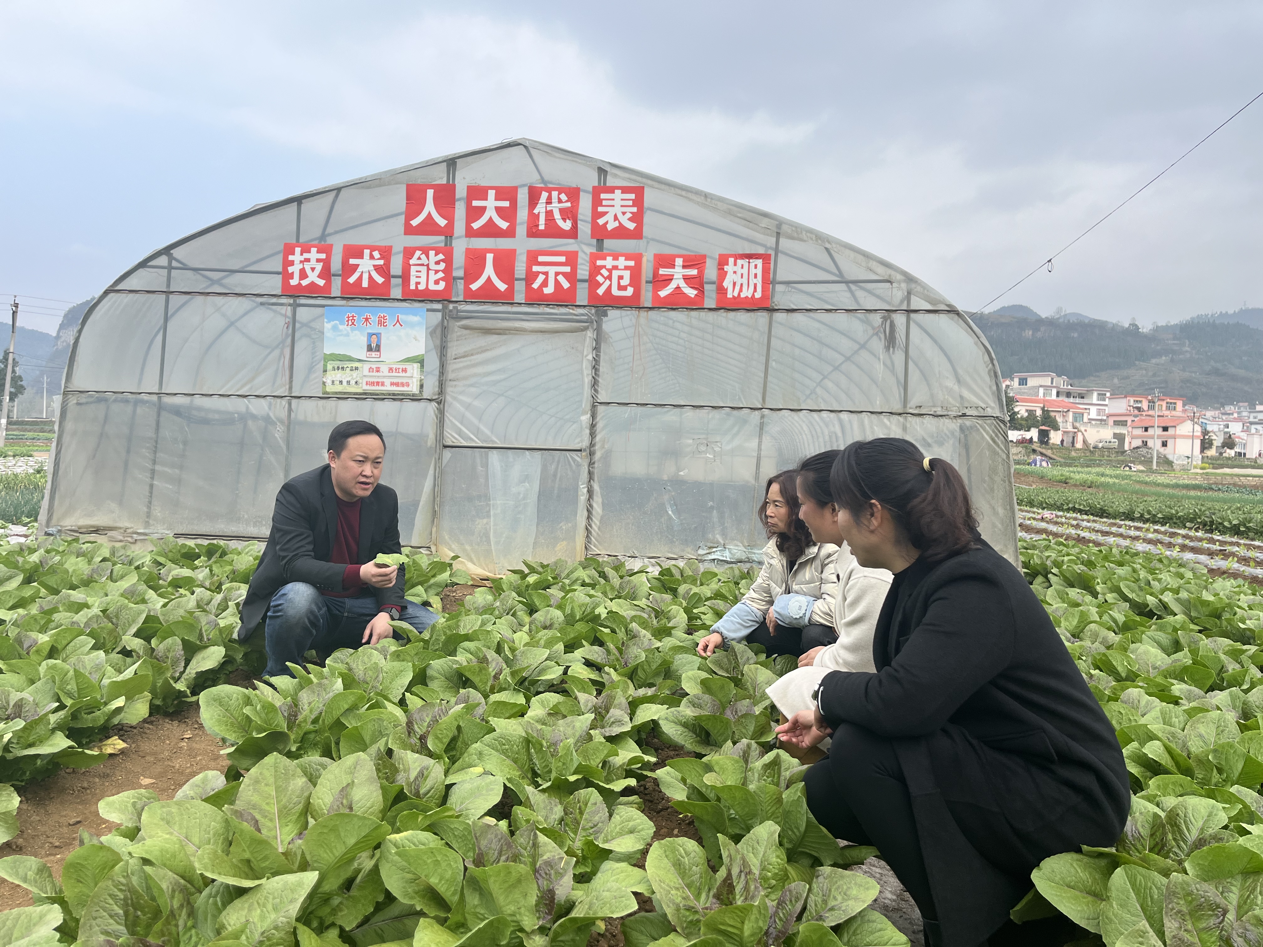 钟山区大桥村：“四走四进来”绘就乡村振兴“幸福卷”