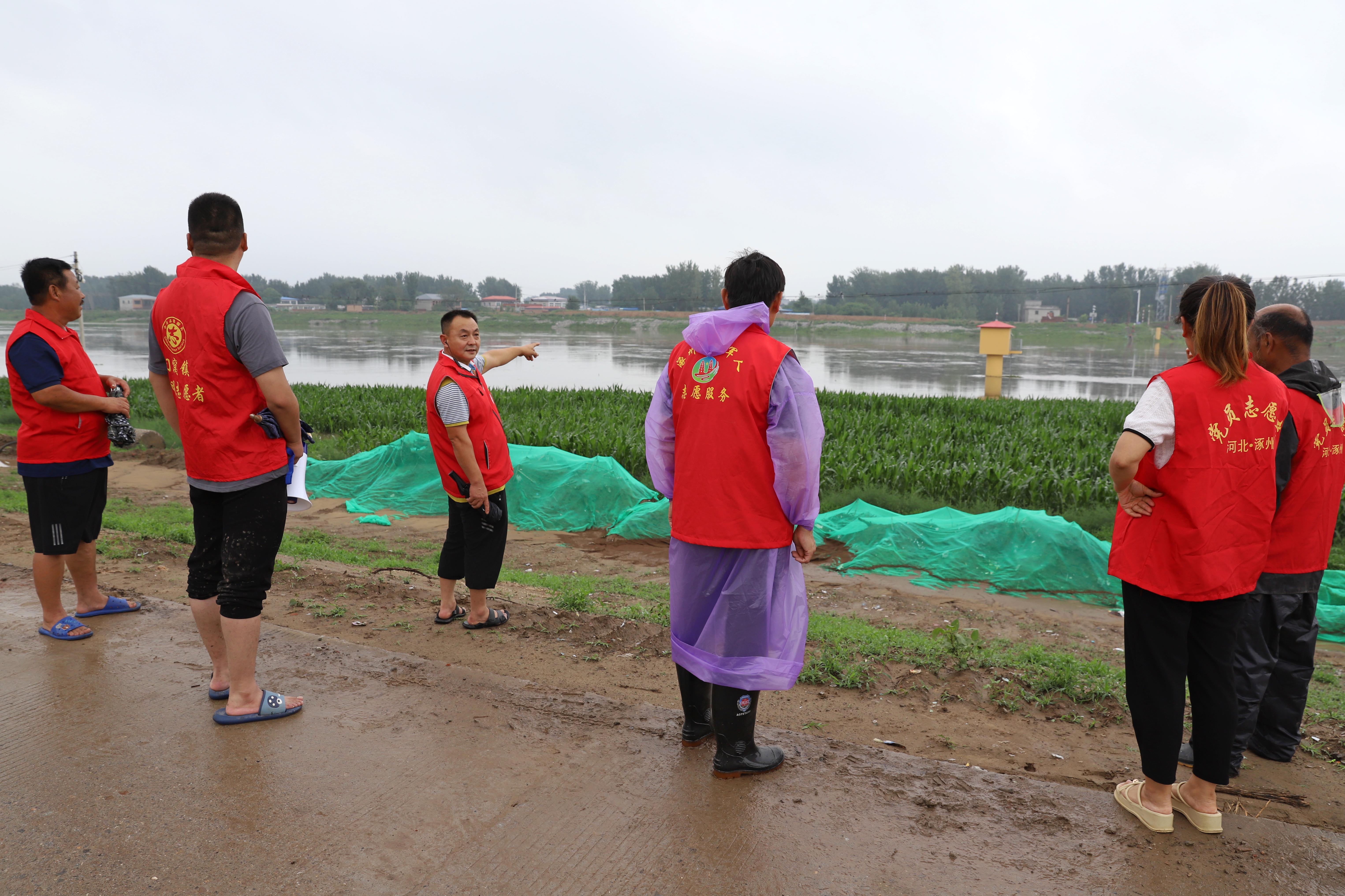 河北涿州：3万余名党员防汛一线筑起“红色堤坝”_fororder_7月31日，涿州市刁窝镇西茨村工作人员查看白沟河洪水情况。熊华明摄