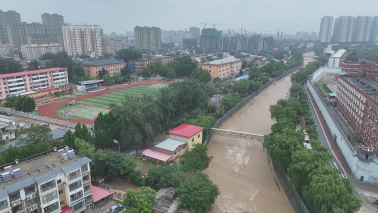 石家庄市鹿泉区：加强河道巡查清障 确保防汛度汛安全_fororder_河道