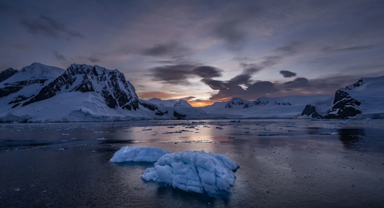 南极海冰面积创下45年新低　专家呼吁采取行动