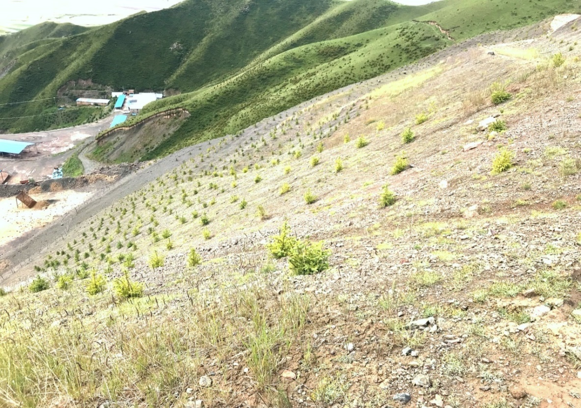 【原创】张掖市山丹县：强化要素保障 为高质量发展蓄势赋能_fororder_图片7