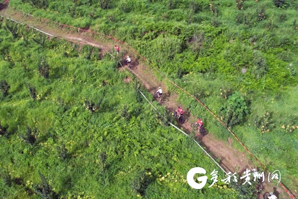 贵州省青少年锦标赛：百余名自行车小将山地角逐