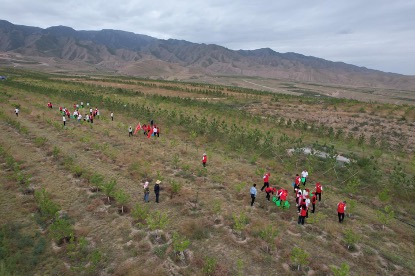 武威涼州：聚焦國家儲備林建設 築牢西部生態安全屏障