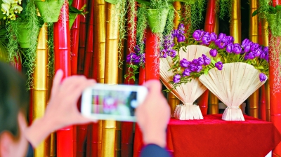 北京中山公园展出珍品“国泰”郁金香