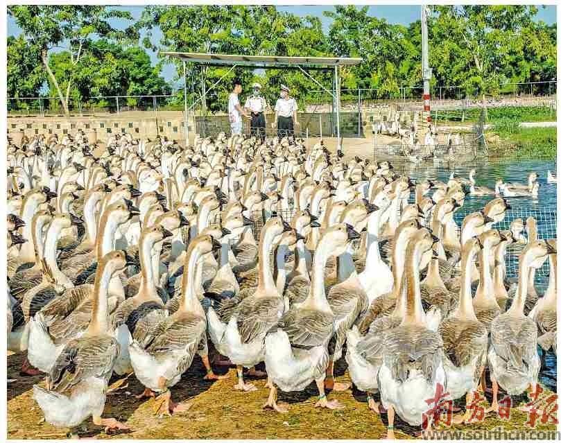 全国居首！海关在粤建成  15个国家级技贸评议基地_fororder_4324ded9-8398-4436-9ab2-b5689d7eda6c