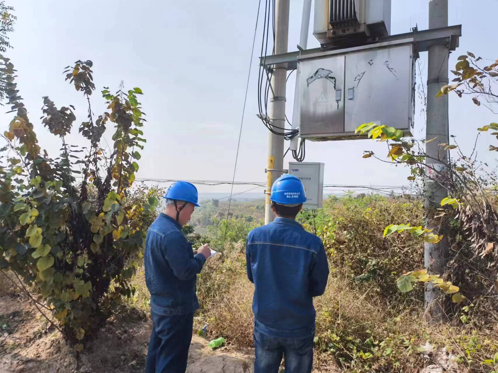 国网渭南供电公司：优质服务“电亮”乡村振兴路_fororder_图片11