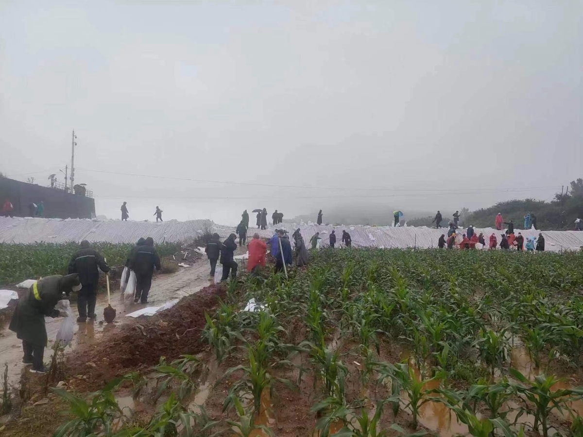 图片默认标题_fororder_白龙乡干部群众冒雨加固泄洪大坝 摄影 靳烨