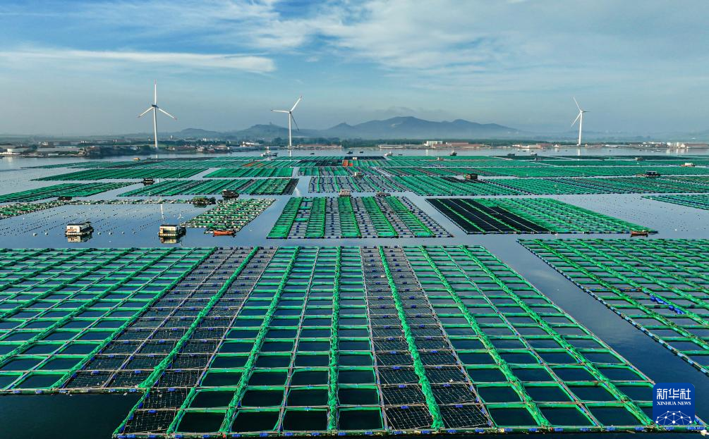 山东荣成：生态养殖海洋经济高质量发展