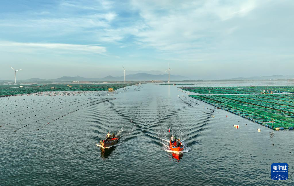 山东荣成：生态养殖海洋经济高质量发展