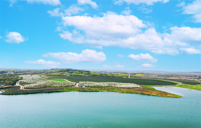 南京六合:探訪鄉村煙火氣裏的“流量密碼”