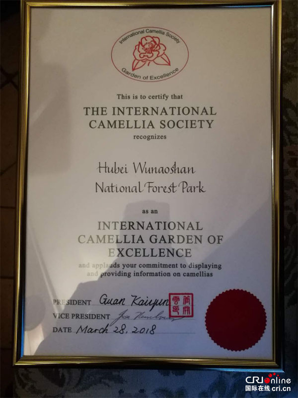 湖北麻城在法国获评 “国际杰出茶花园”
