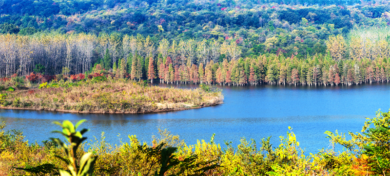 南京六合:探訪鄉村煙火氣裏的“流量密碼”