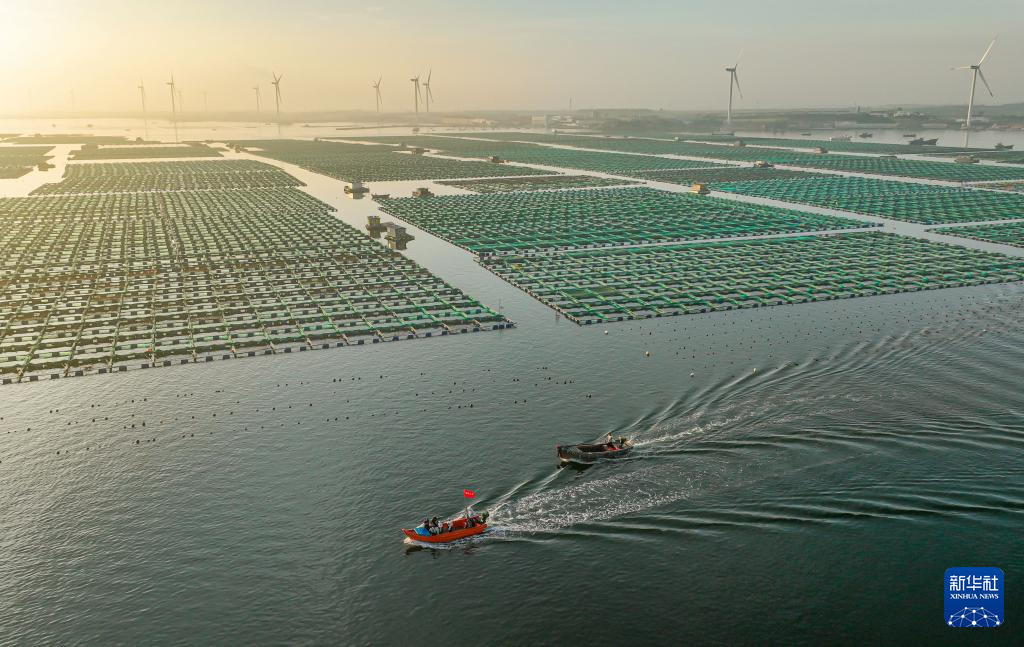山东荣成：生态养殖海洋经济高质量发展