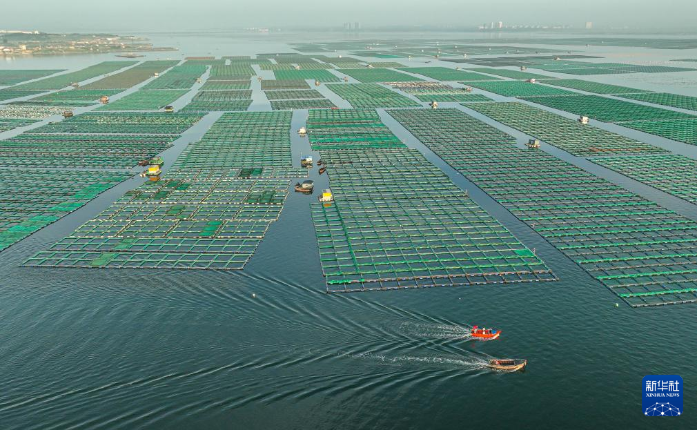 山东荣成：生态养殖海洋经济高质量发展