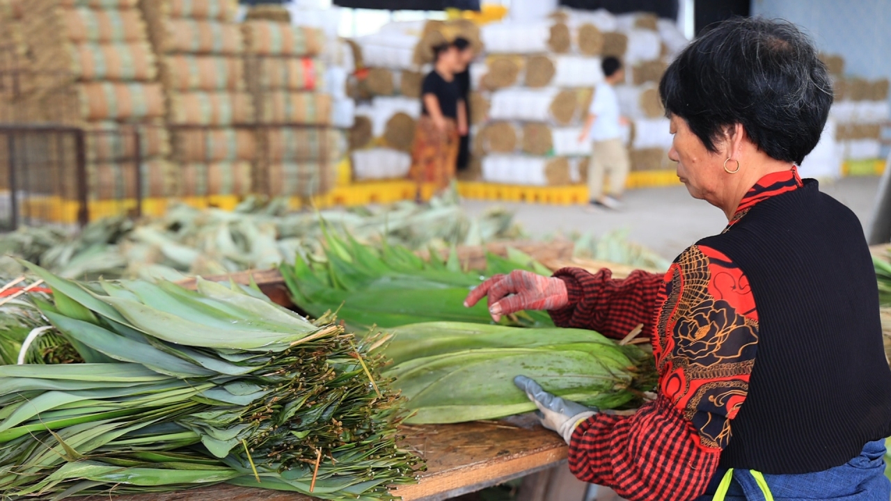 浙江武义西联乡：一片叶子的共富故事_fororder_11615670519300