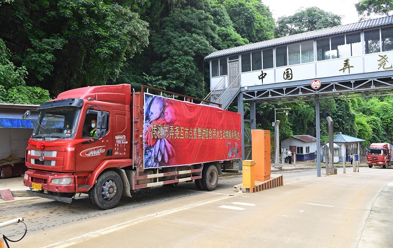 广西推进西部陆海新通道建设成效显著_fororder_7月5日，一批重2.18吨的越南鳙鱼从凭祥弄尧互市点进境。 杜莉莉 庞立坚摄