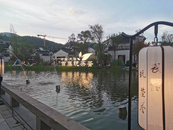 中国·武隆首届玩茶荟活动在渝举行_fororder_图片2