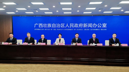 创历史新高 2022年西部陆海新通道沿线经广西口岸进出口值超5000亿元
