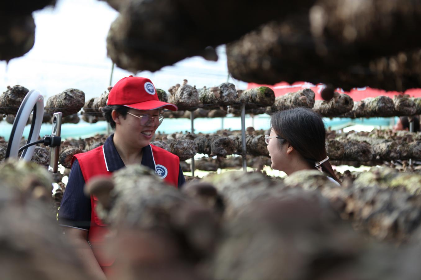 河北平泉：“菇农加油站”服务菇农零距离_fororder_图片3