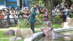 上半年广州文化产业同比增长15.7%