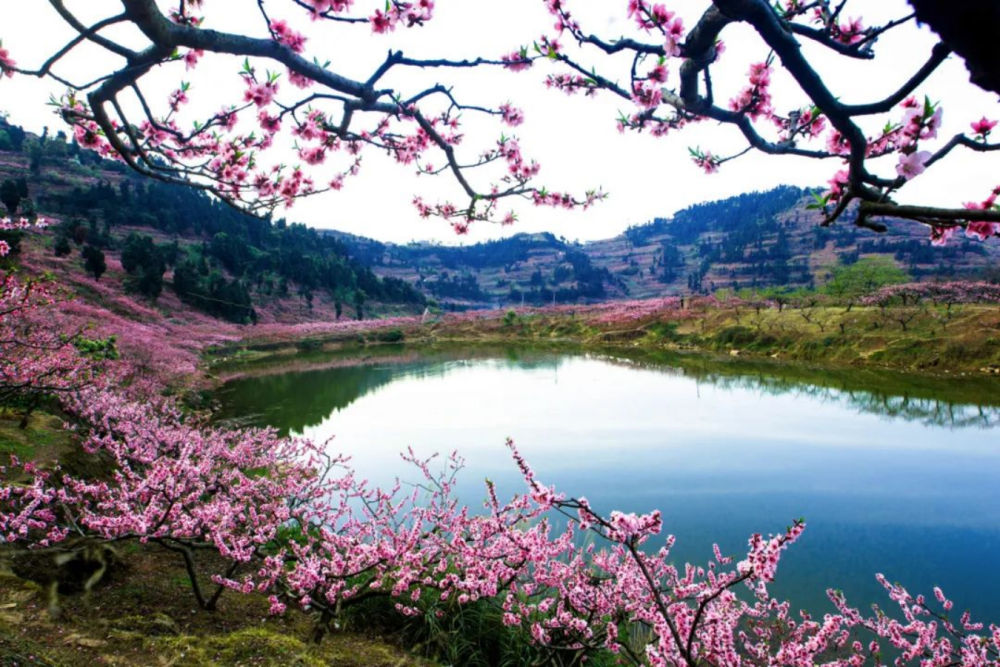 （转载）这里是成都龙泉驿！