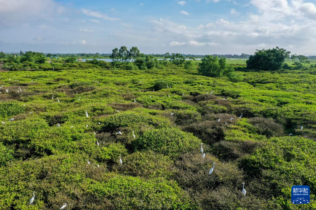 天空之眼瞰廣西欽州