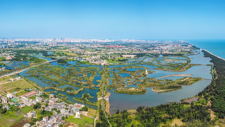 创新建立“湿地+”保护修复模式 厚植大美椰城生态底色_fororder_5