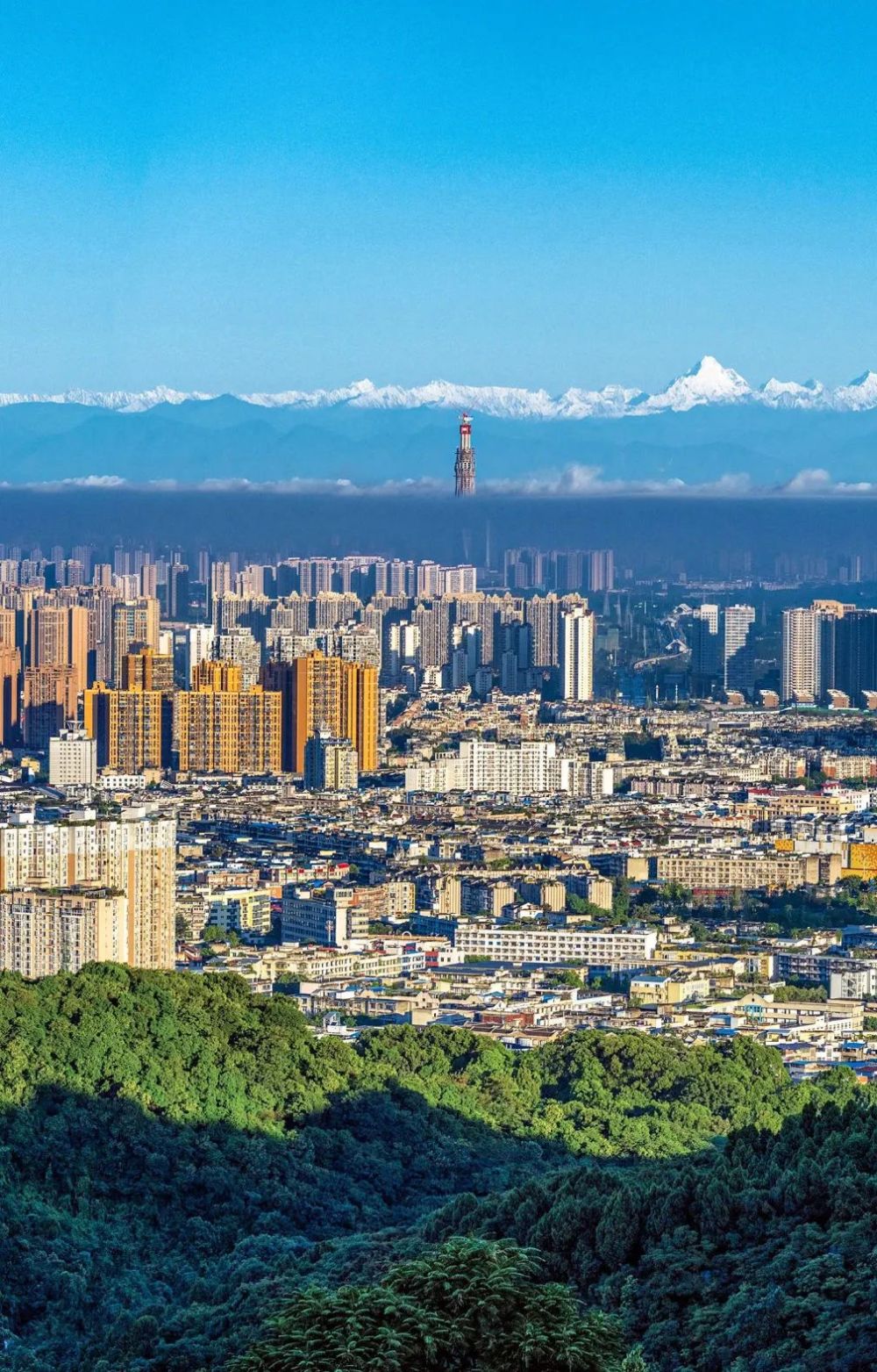 （转载）这里是成都龙泉驿！