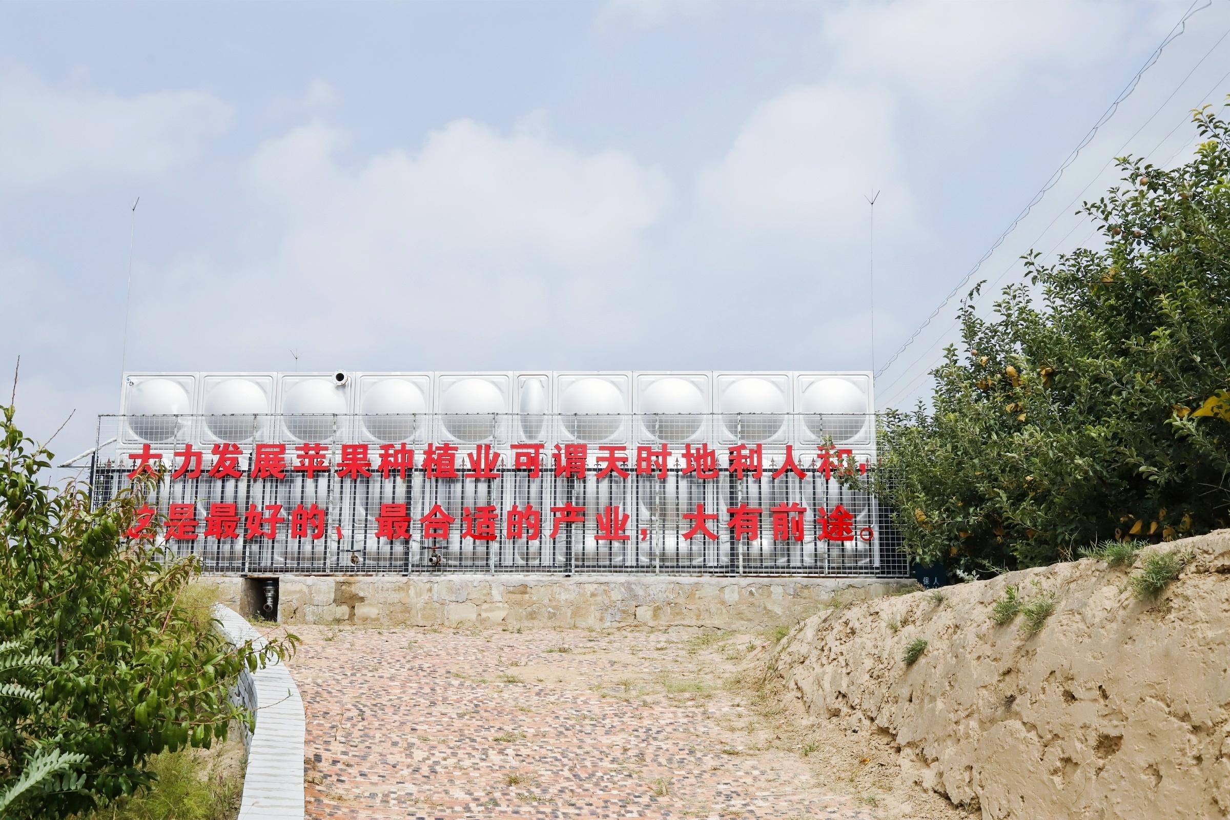 （转）子长市史家畔便民服务中心：“外来人”带领村民变身“三金农民”