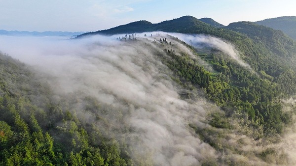重庆：八月里云海流瀑 瞰群山如画