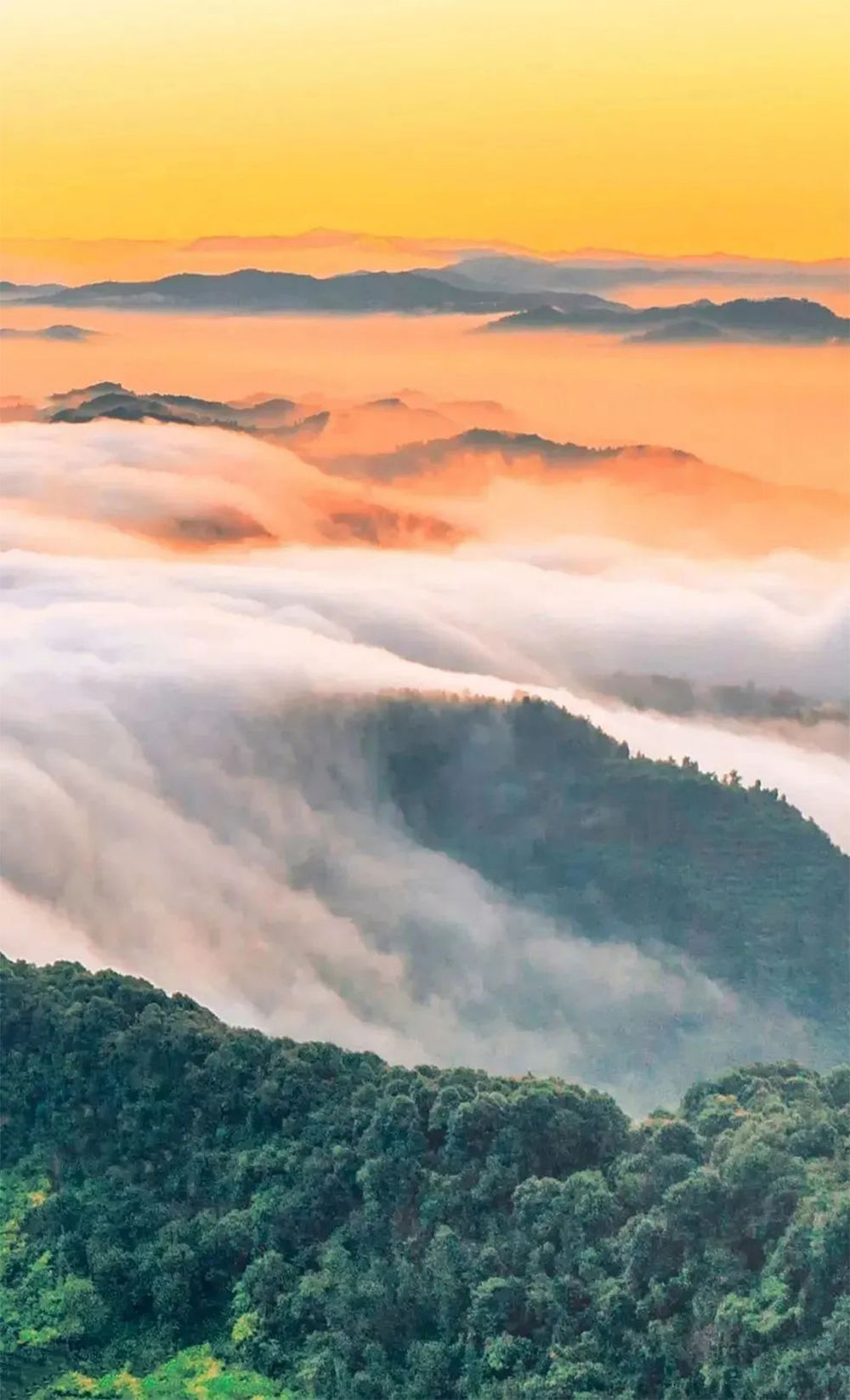 （转载）这里是成都龙泉驿！
