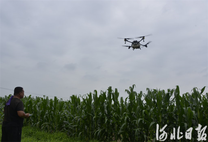 河北：立秋看农事