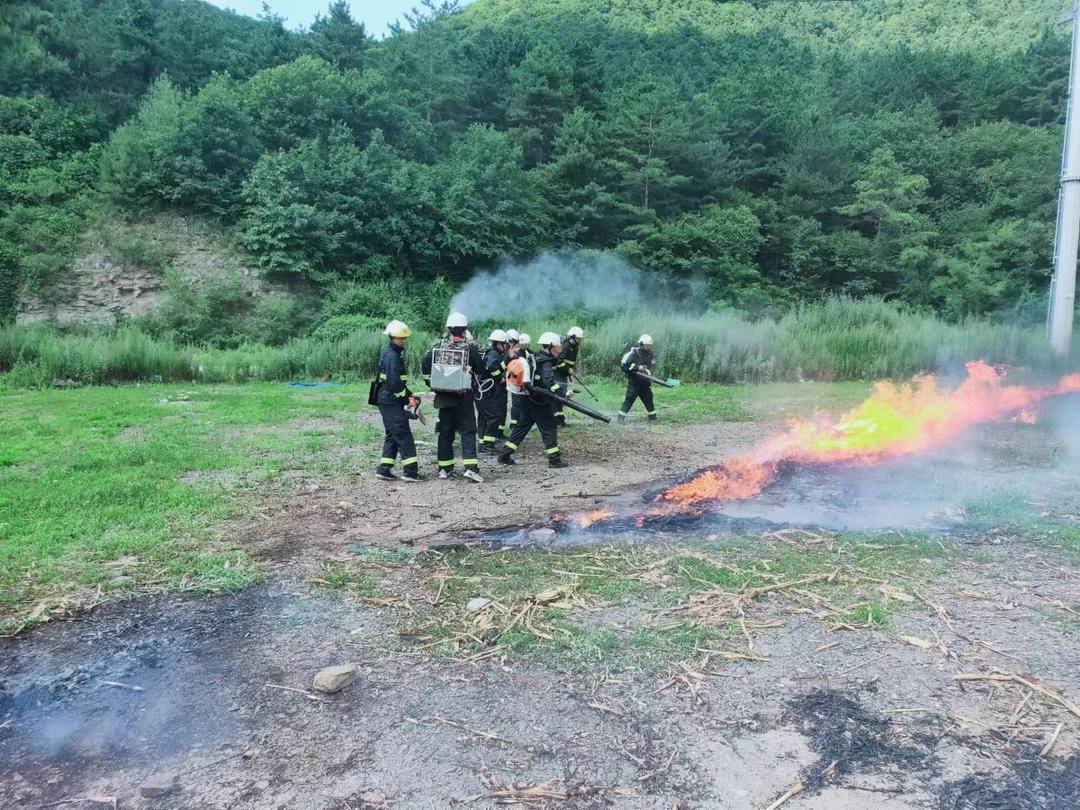 本溪：持续推进林长制，守护青山绿常在