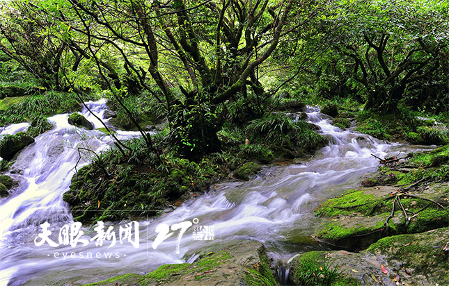 乘著貴南高鐵尋美荔波｜踏瀑戲水，萬池清波喜迎貴客