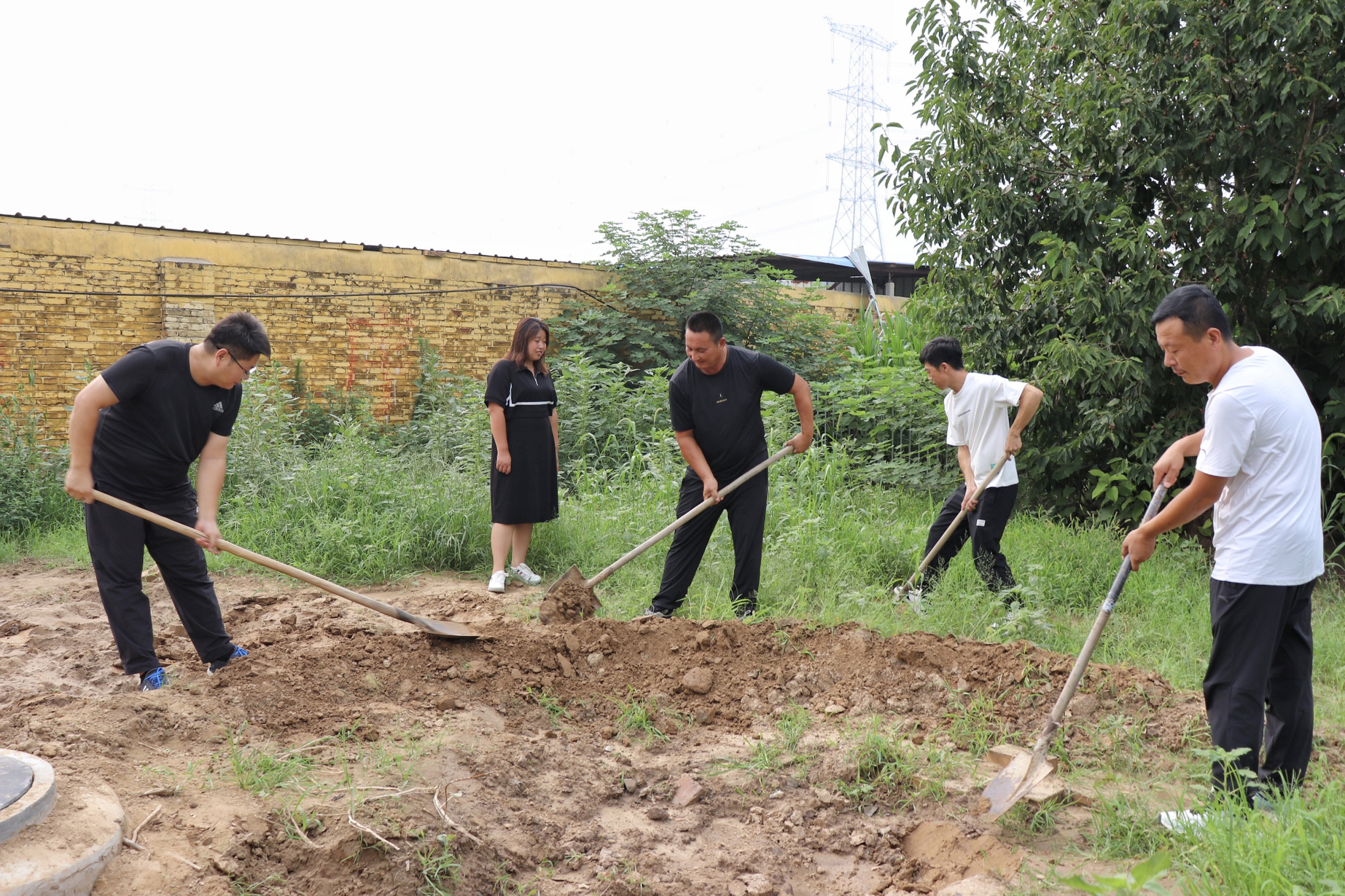 图片默认标题_fororder_5