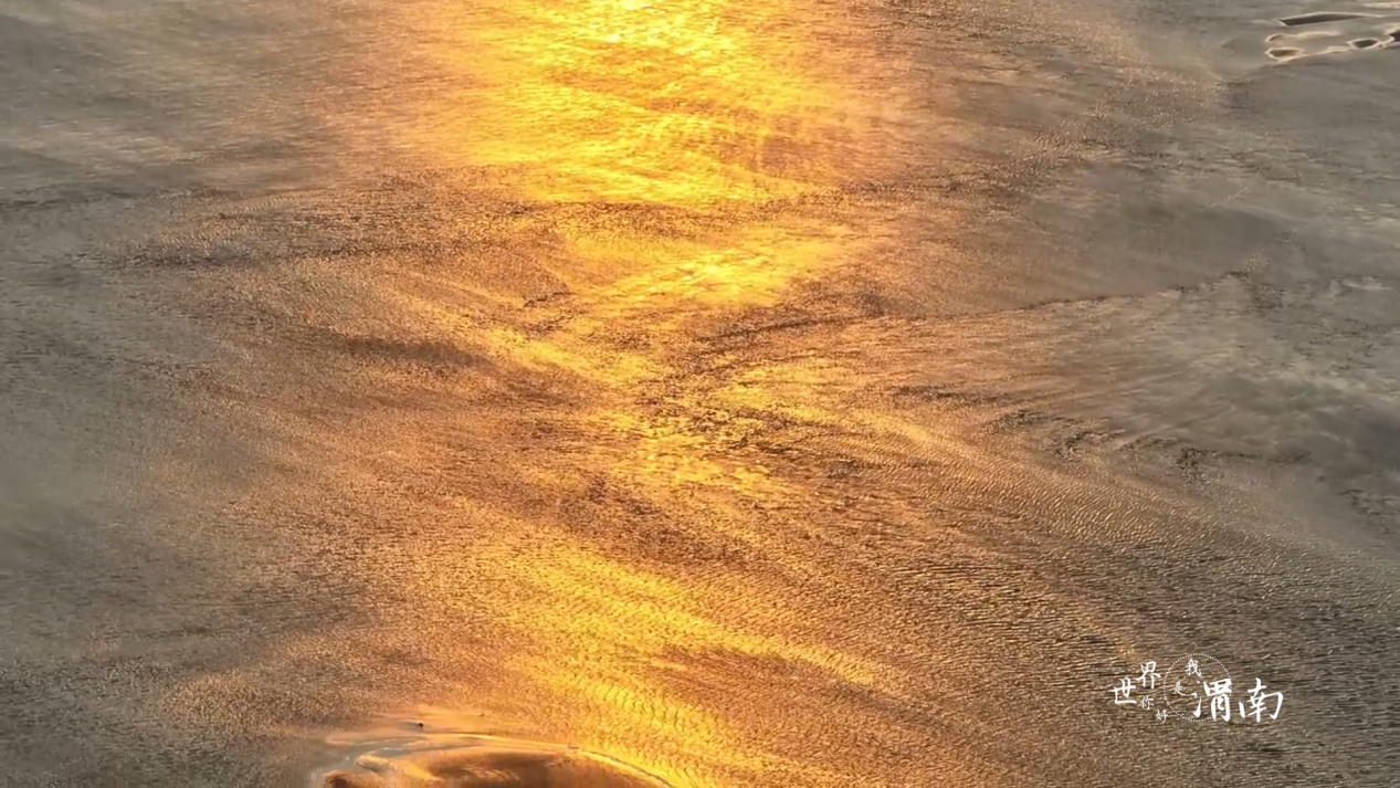 Charming陕西丨“大河流金”！黄河潼关段上演“长河落日圆”_fororder_图片1