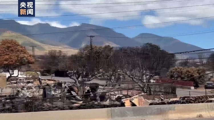 夏威夷毛伊岛大火后 华裔居民：劫后余生 倍感生命珍贵