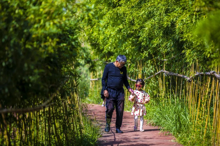 “灃”水寶地賡續千年生機_fororder_圖片2