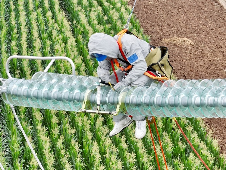 陜西舉辦架空輸電線路帶電作業技能競賽_fororder_參賽選手帶電更換單片玻璃絕緣子