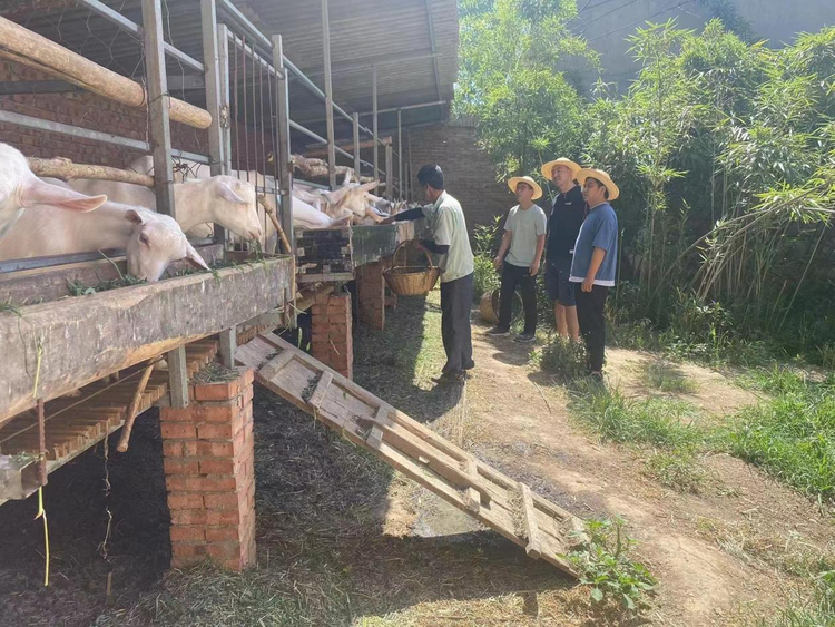 寶雞稅務“忠誠稅收事業 貢獻青春力量”青年才俊楊青：將青春書寫在西府大地_fororder_圖片8