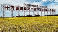 圖片默認標題