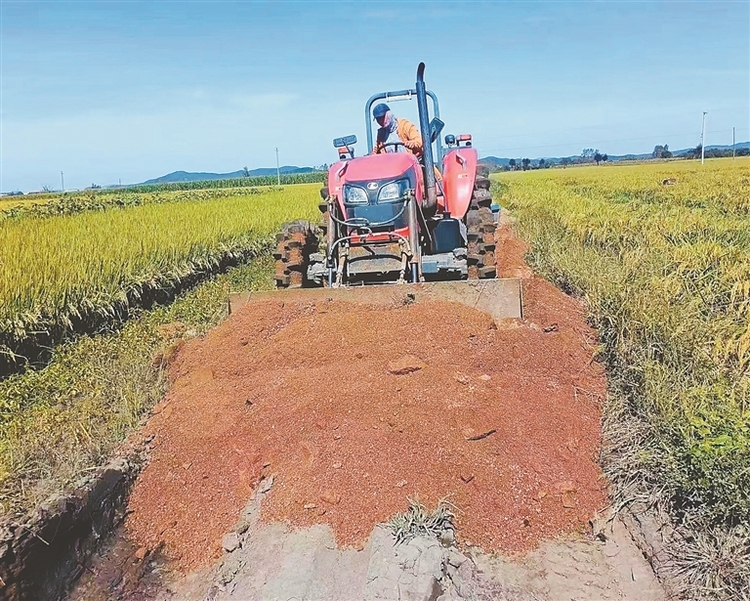 抢修田间路 确保粮食颗粒归仓