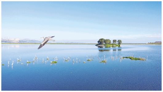 天蓝水碧鸥鸟翔集