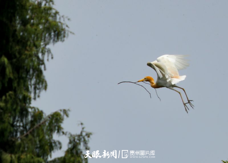 贵州：天蓝水碧生态美